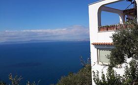 Ambrosio Home